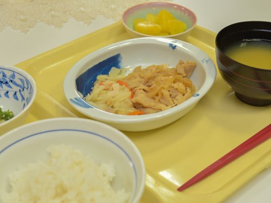 和食の栄養バランス食事