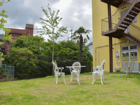 緑豊かな庭の風景