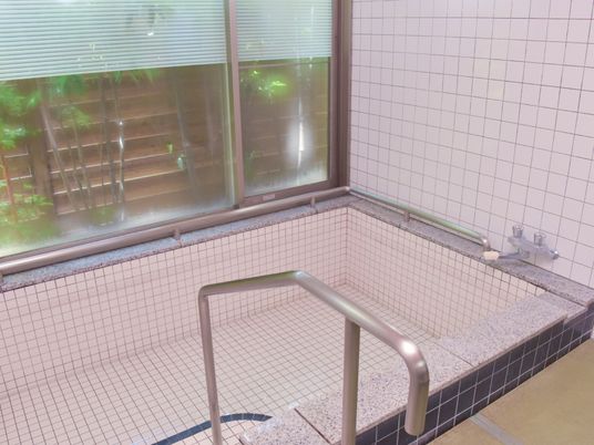 手すり付き浴槽の空間