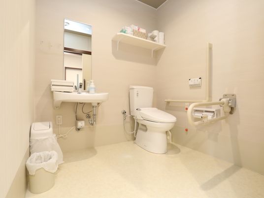 手すり付きトイレの室内