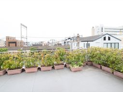 植物が並ぶテラス風景