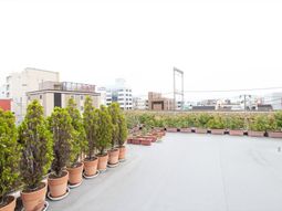 中庭の植栽が美しい風景