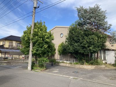 アプローチの庭