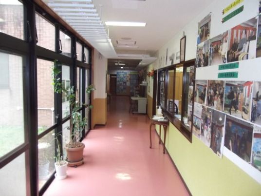 廊下に掲示物と植物