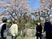 桜と散策中の人々