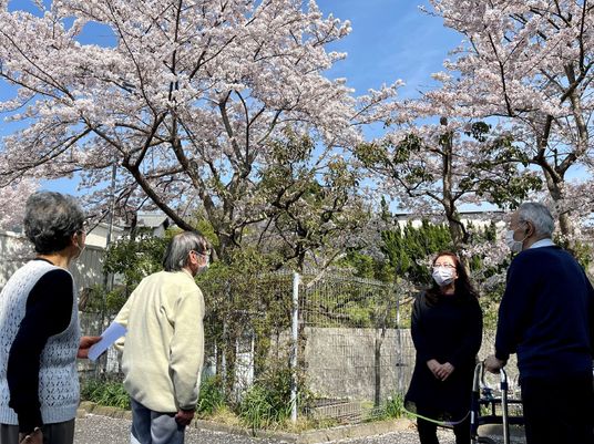 桜と散策中の人々