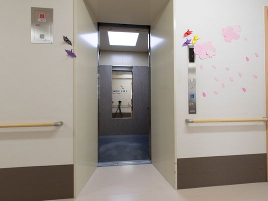廊下の壁に花の装飾