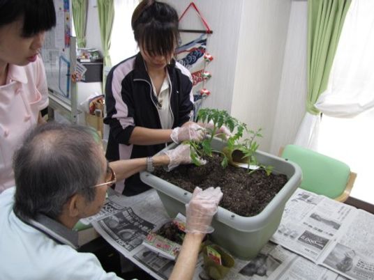 植物の手入れをする高齢者と職員