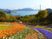 色とりどりの花が咲く庭園