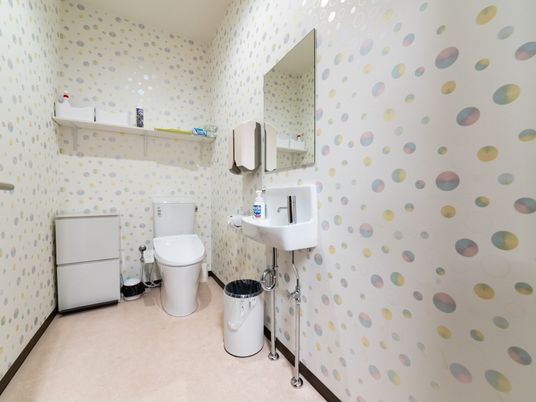 足元はクリーム色、壁は水玉になっている。トイレは奥行きがあり、手前には洗面台と鏡、ゴミ箱とペーパータオルが置かれている。