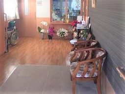 廊下の椅子と花々