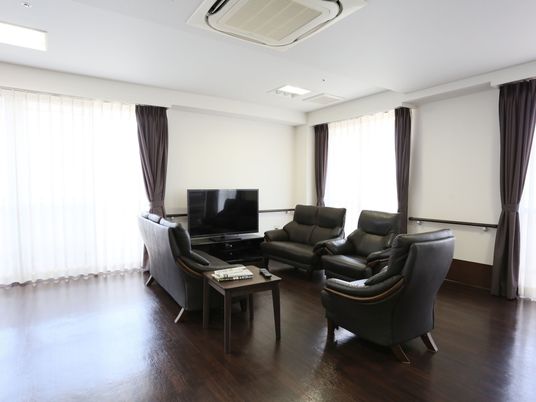 リビングの椅子とテレビ