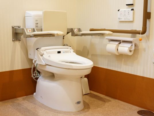 トイレはウォシュレット式の水洗トレイ。壁にスイッチが設置されている。便器の両脇に手すりが設置されているので座りやすい。