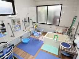 手すり付き清潔な浴室