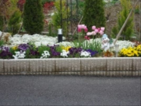 彩り豊かな施設の庭