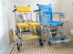 清潔な浴室用車椅子