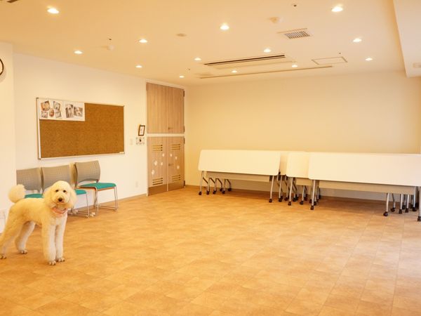 犬と広々多目的室