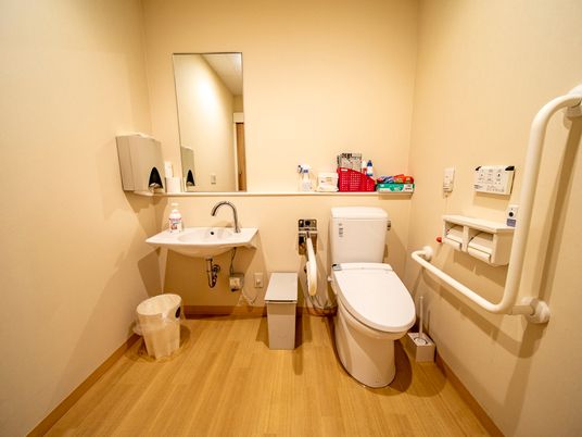 清潔なトイレの様子