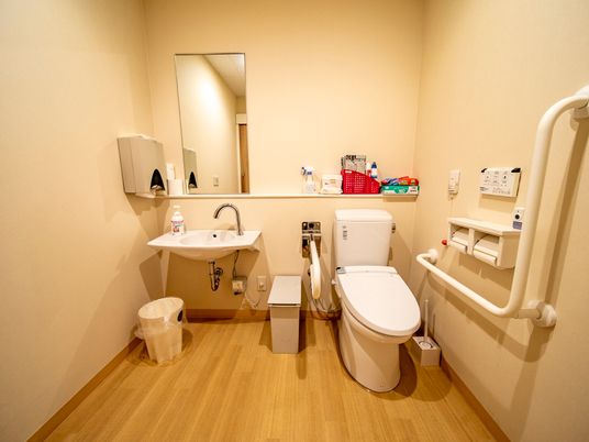 共有のトイレである。壁にＬ字型の手すり、便器の側には可動式の手すりが設置されている。洗面台があり、ペーパータオルが用意されている。