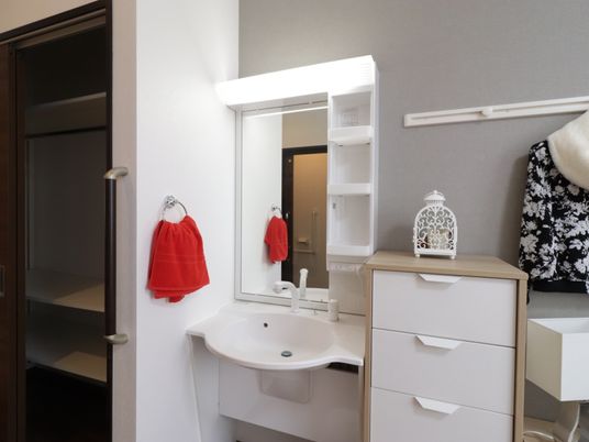 洗面台と鏡のある部屋