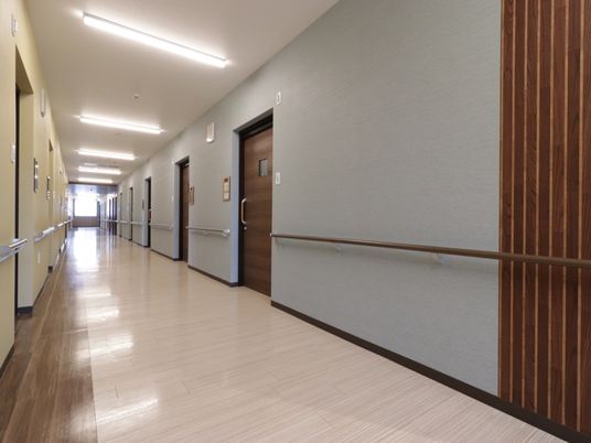 清潔感ある明るい廊下