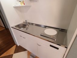 清潔な洗面台とIHコンロ