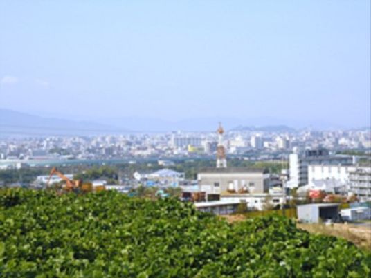 緑豊かな屋外景観