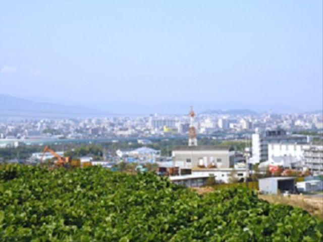 緑豊かな屋外景観 景色 眼下に広がる景色が楽しめる静かな環境です。新緑や季節の移り変わりを身近に感じられる快適な場所となっております。
