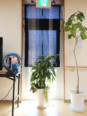 窓辺の緑植物と装飾品