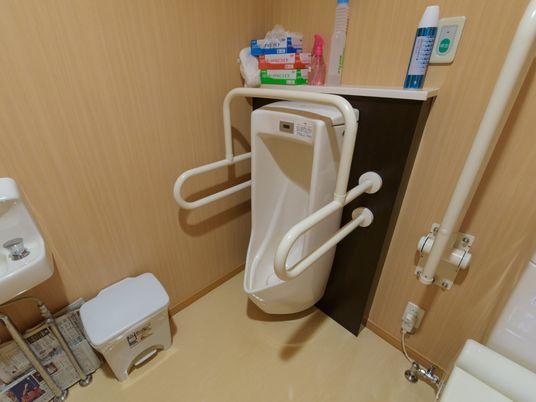 手すり付きの清潔なトイレ