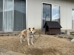 広々とした庭