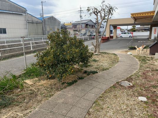 小道ある庭