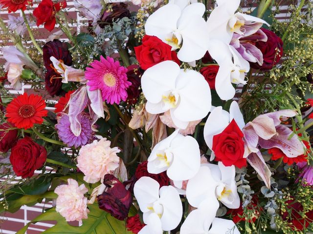 色鮮やかな花壇 開設祝いの花 季節の花々が彩るアットホームな空間で、心安らぐ時間を過ごせます。自然を感じながらのひと時は、訪れる方々の憩いの場となっています。