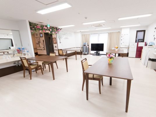 明るい居室の全景