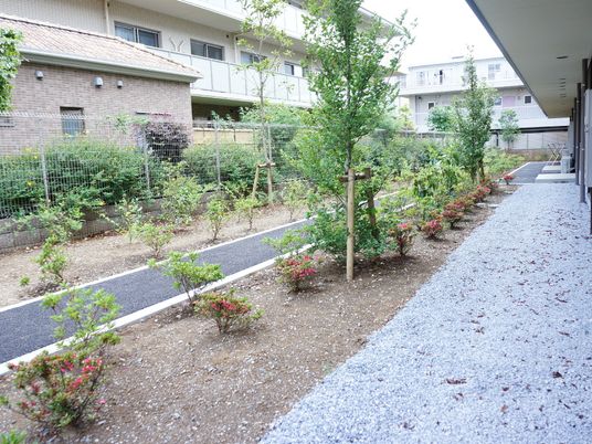 緑豊かな施設の中庭
