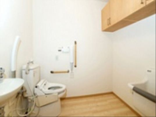 温水便座洗浄機付きトイレである。後ろの壁に跳ね上げ式の介助バーがあるほか、横の壁にも縦型と横型2種類の手すりが設置されている。