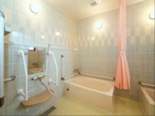浴室に２つの浴槽が並んでおり、それぞれ横の壁に手すりが付いている。手前にはカランとシャワーがあり、こちらの側の壁にも手すりが設置されている。