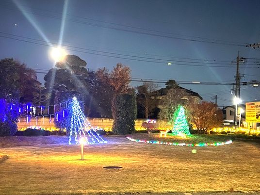 ライトアップの庭  