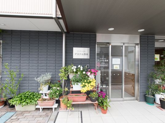 エントランス周りの植物