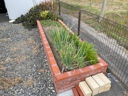 緑豊かな花壇の様子