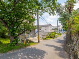 緑豊かな坂道と建物