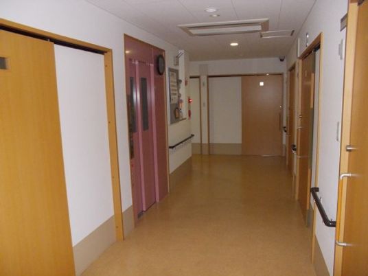 清潔な廊下の様子