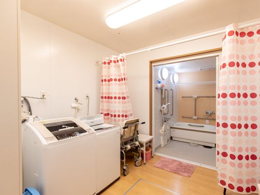 清潔な浴室と洗濯機