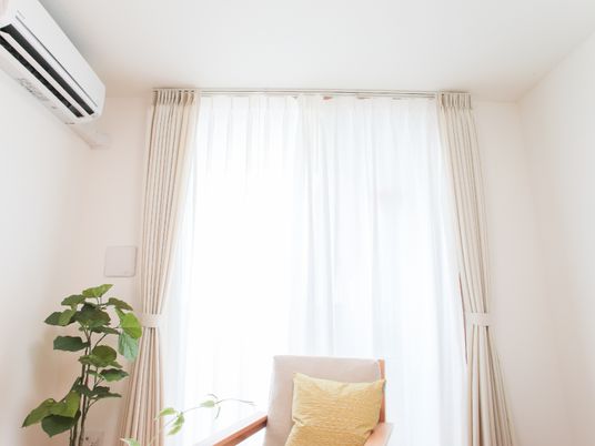 居室の窓と植物