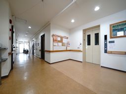 明るい廊下と掲示物