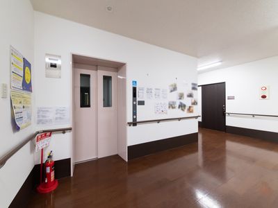 安心感ある廊下の風景
