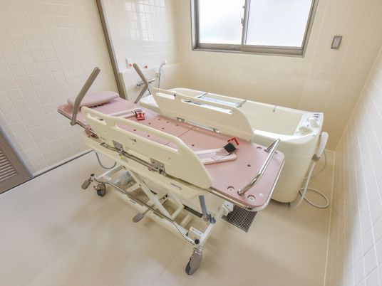 清潔な浴室の介助用ベッド