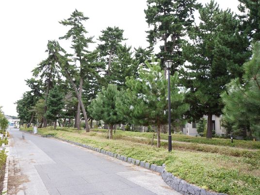 緑豊かな中庭の風景