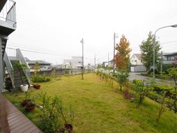 広々とした緑の庭