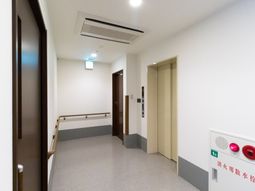 清潔な廊下の様子